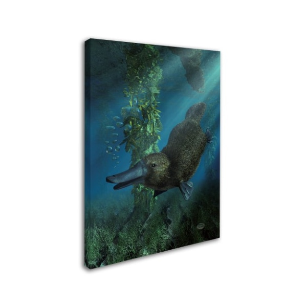 Daniel Eskridge 'Platypus' Canvas Art,24x32